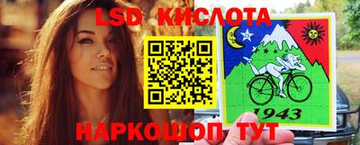 винт Будённовск