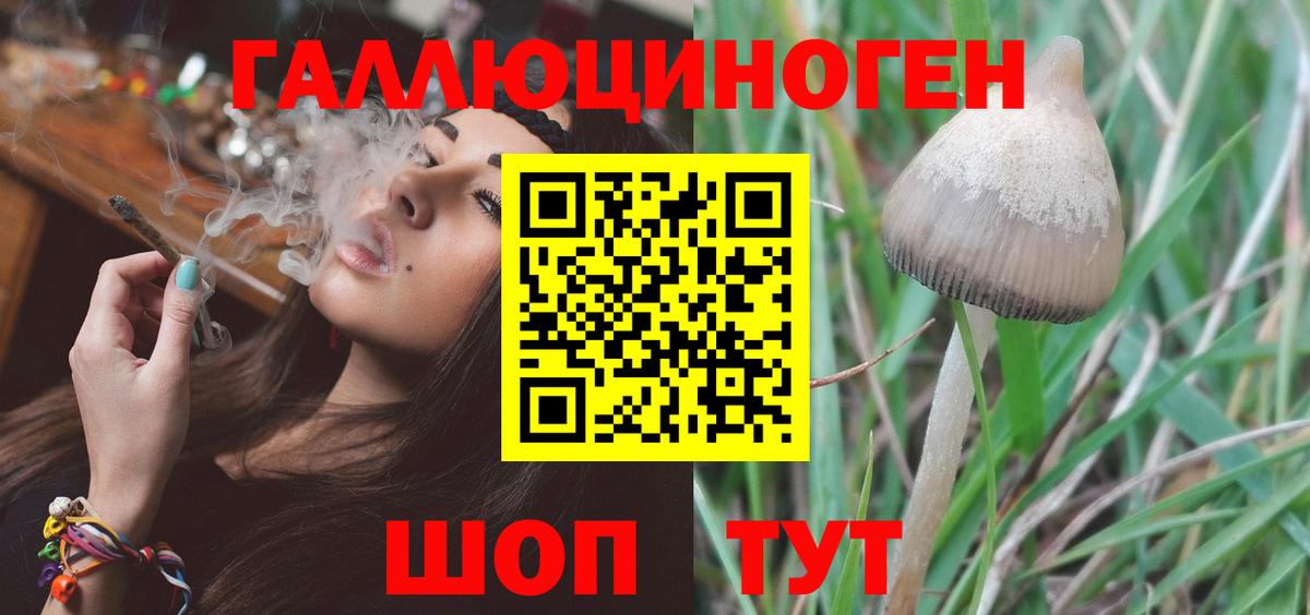 Галлюциногенные грибы MAGIC MUSHROOMS  Псилоцибиновые грибы MAGIC MUSHROOMS  Вход с VPN  Углич 